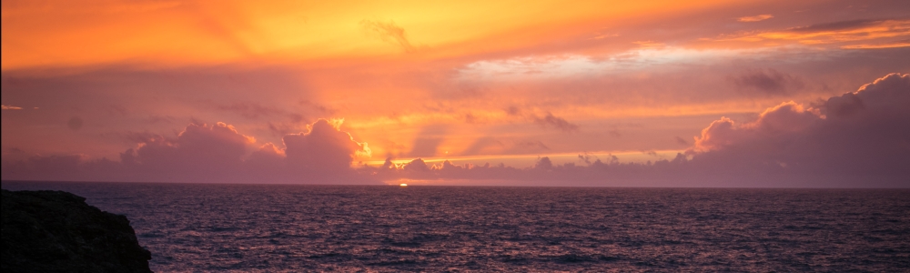 Image de bannière d’utilisateur/utilisatrice